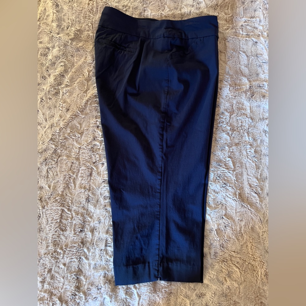 Coral Bay Tummy Control Navy Capris 18W
